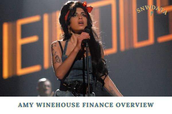 Amy Winehouse Finance Overview