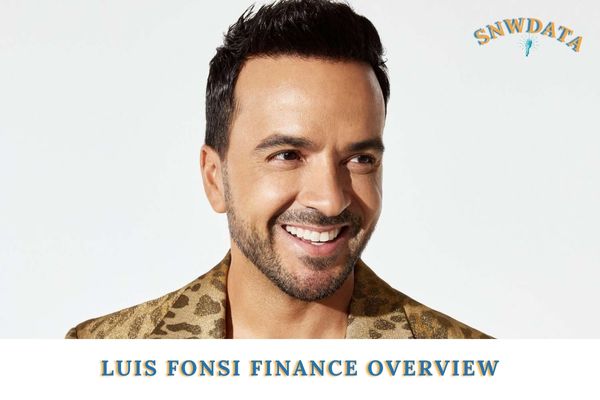 Luis Fonsi Finance Overview