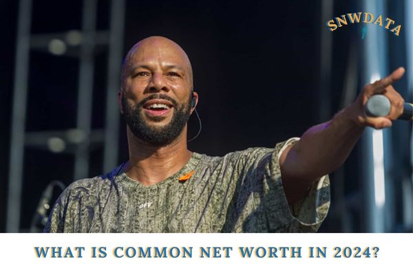 What is Common Net Worth in 2024